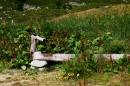 nature alpine 047 * 4368 x 2912 * (9.7MB)